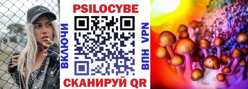 Галлюциногенные грибы мухоморы  площадка как зайти  Димитровград 